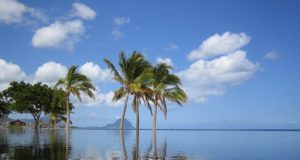 Mauritius mare e spiagge da favola