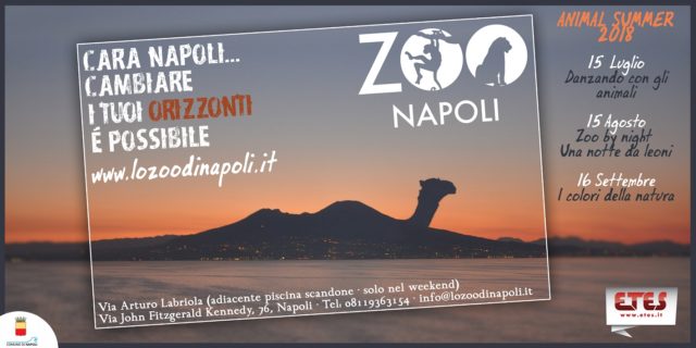 Animal Summer 2018, zoo di Napoli